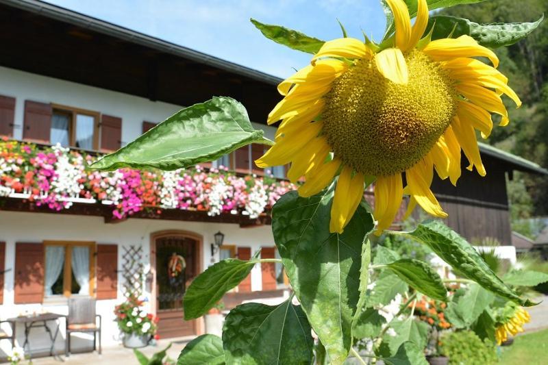 Hotel Haus Jagerer à Ramsau bei Berchtesgaden Extérieur photo
